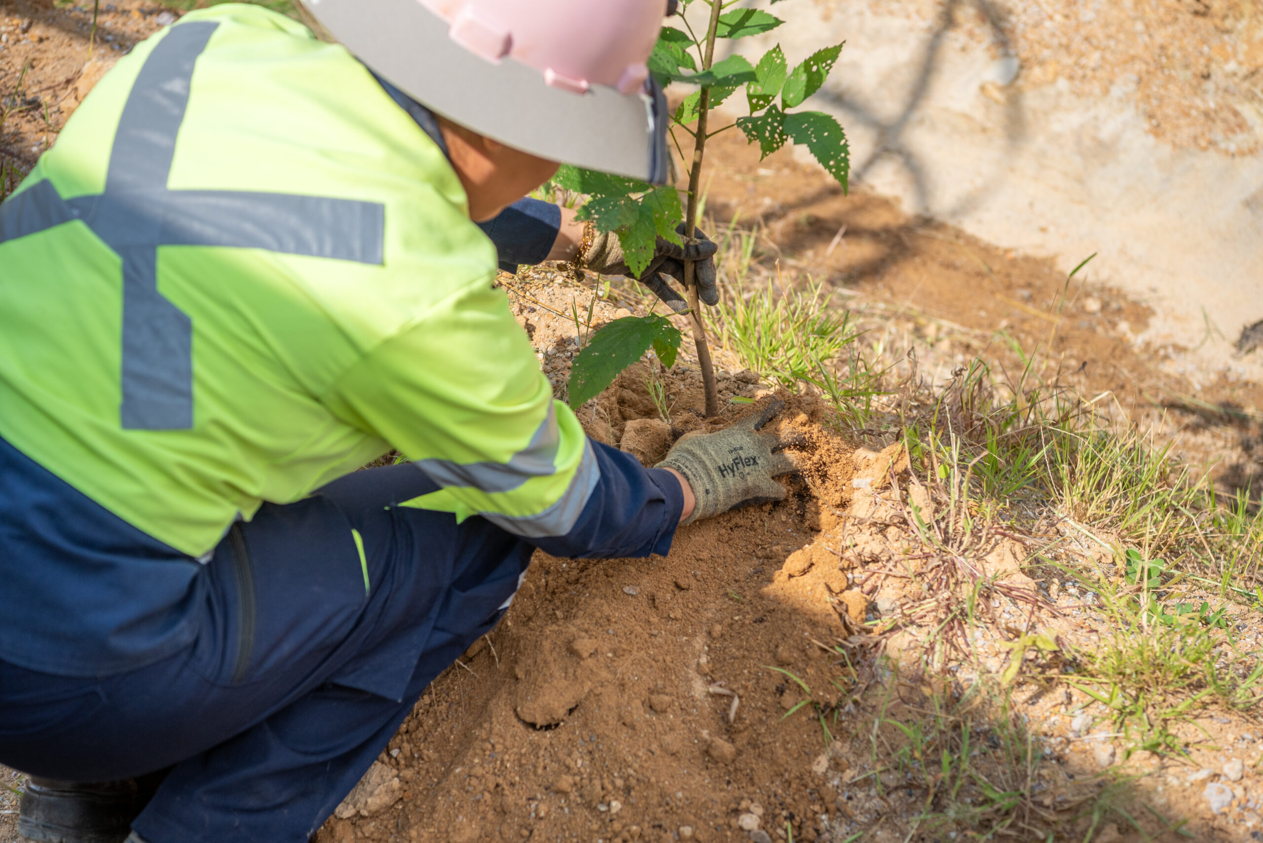 Terronera Septiembre 2023 300 322
